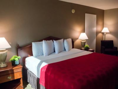 Hotel Ramada Plaza By Wyndham Downtown Capitol Park